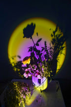 Sunset Glow Projection Lamp